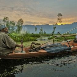 Photo Contest Shortlist, 2013