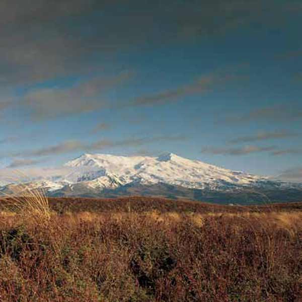 Backgrounder: New Zealand