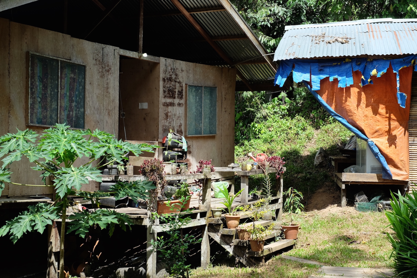 A Jungle Research Station is No Place for the Squeamish