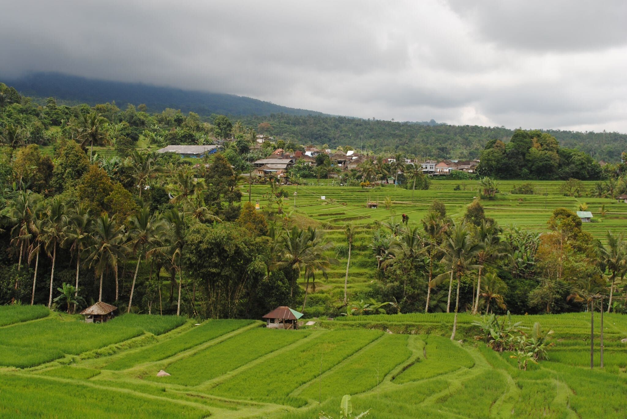 From Britain to Bali