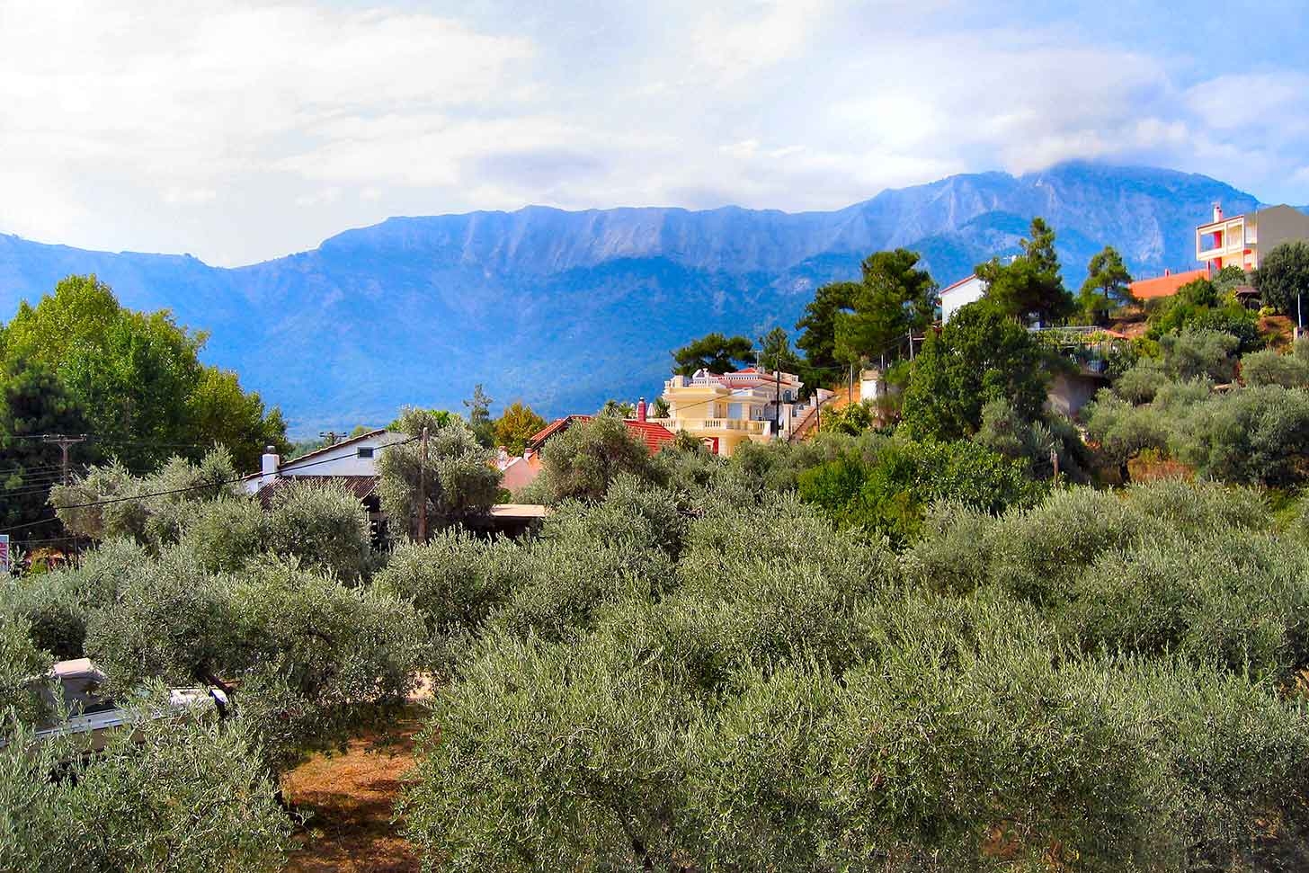 Farm Hands: Raising Fearless Vegetables on a Spanish Biodynamic Farm