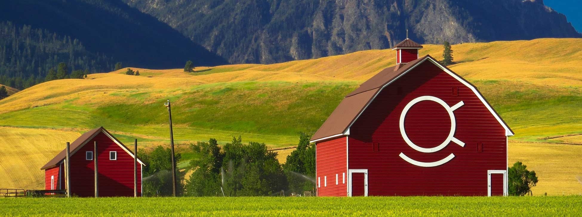 Farm Volunteering: How to Decode the Listings