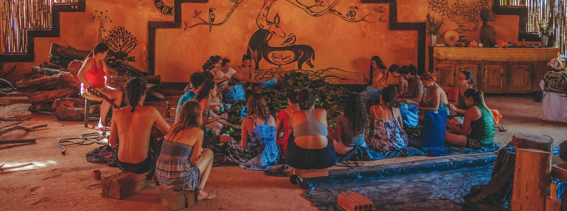 Ayahuasca Tourism: Shamans, Charlatans and Thousand-dollar Retreats