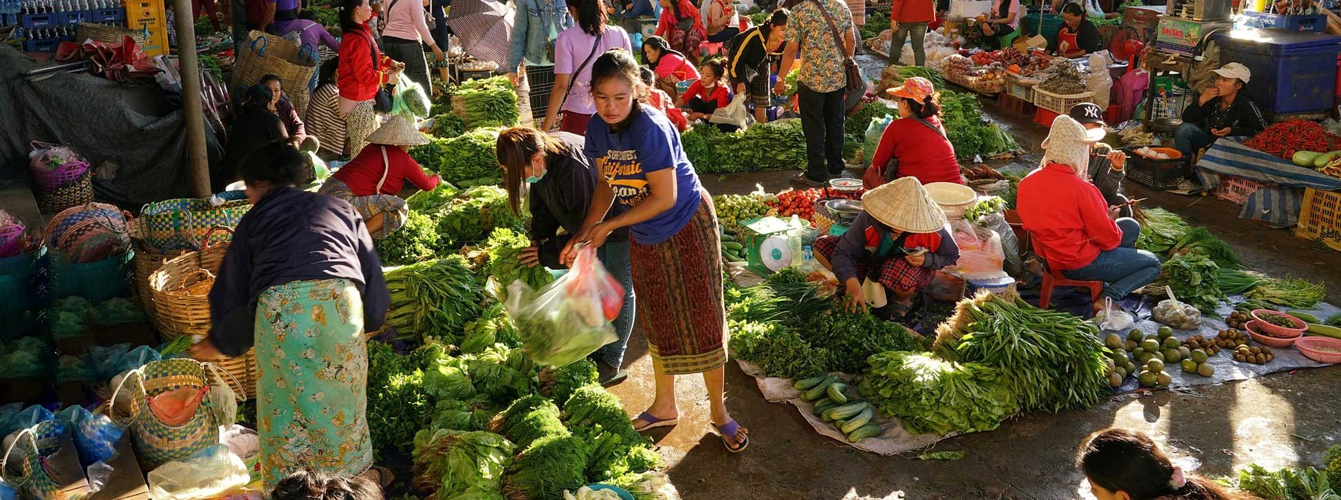 Working in Laos: How to Adapt to an Unfamiliar Work Culture