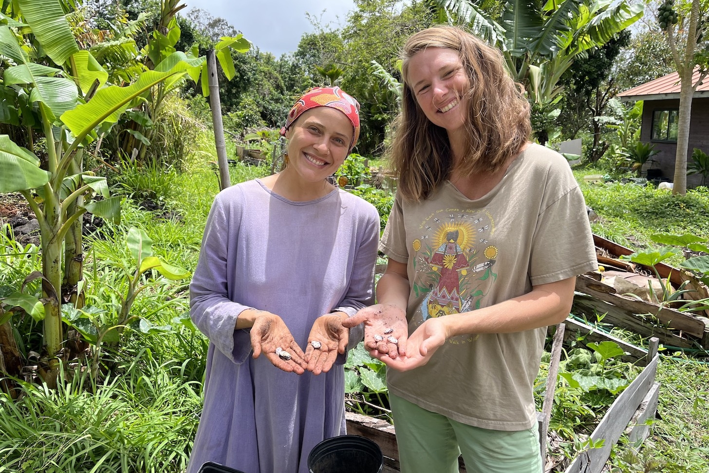 Volunteering at a Permaculture Food Forest for Dummies