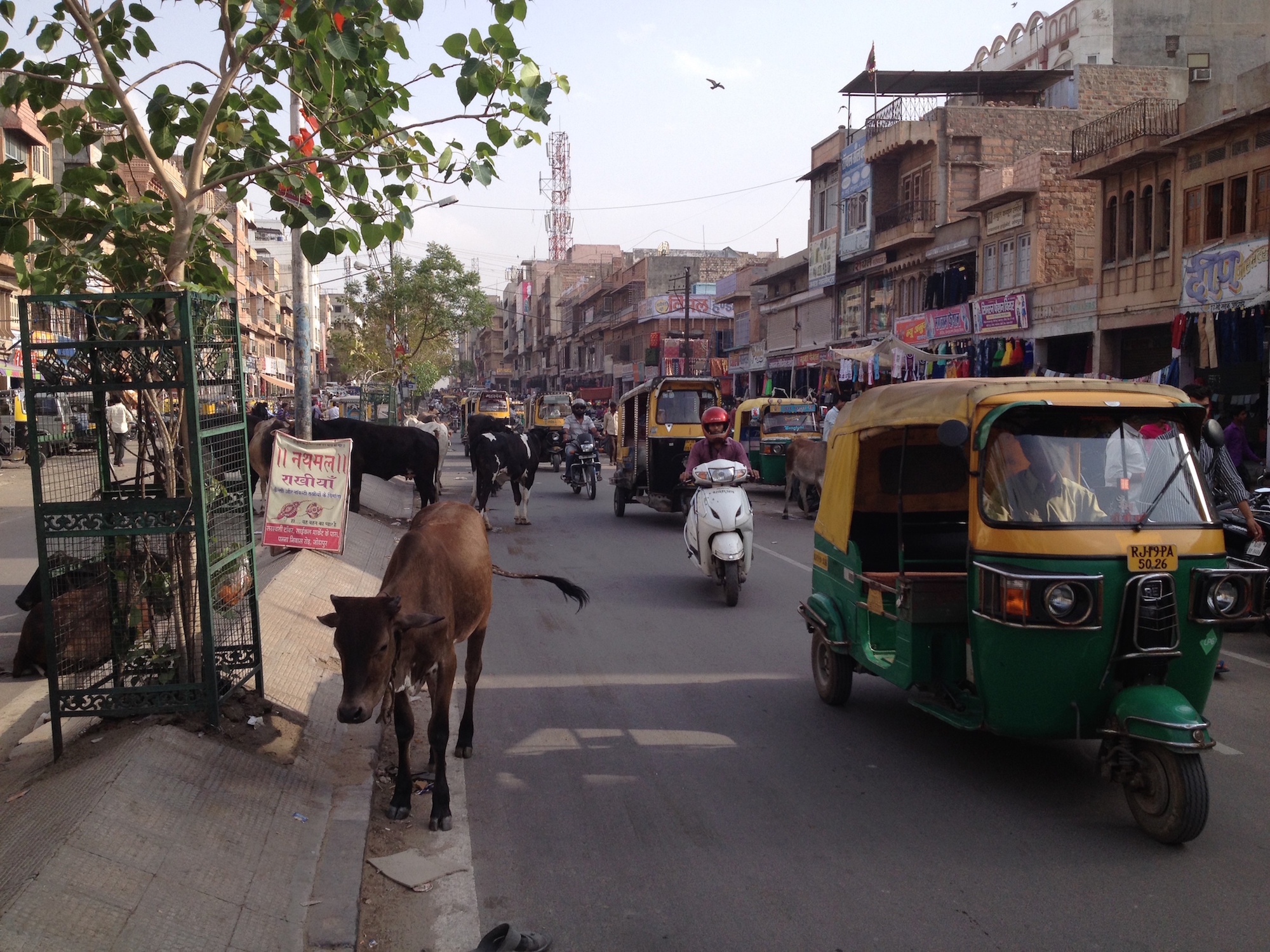 Five Things I’ve Learned from Volunteering in India