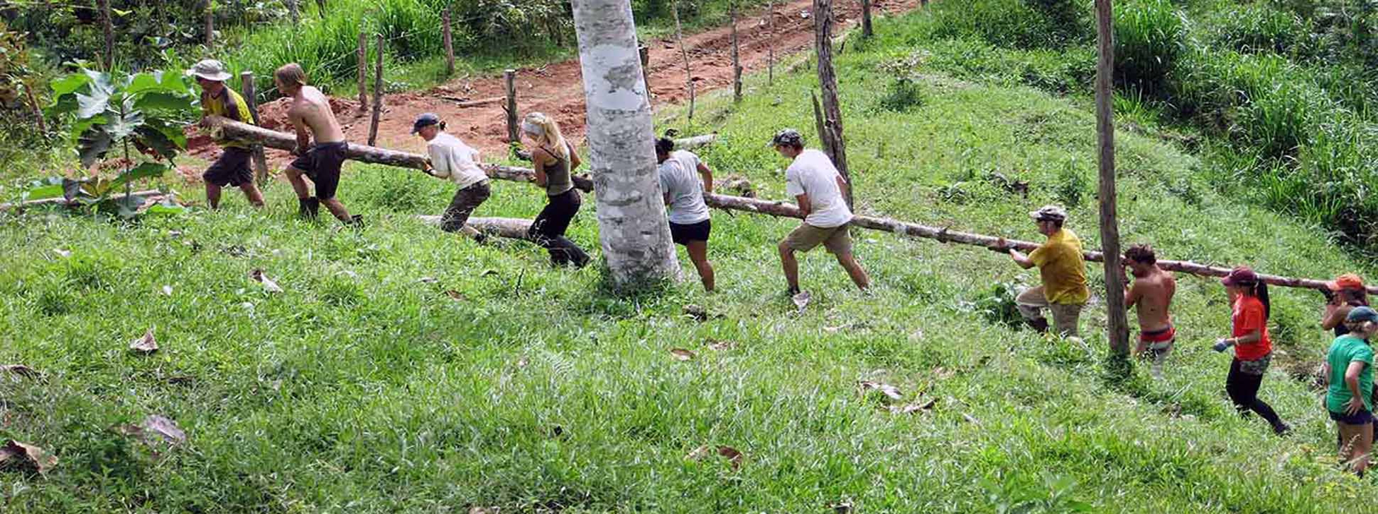 Room to Grow: Sustainable Farming in Costa Rica