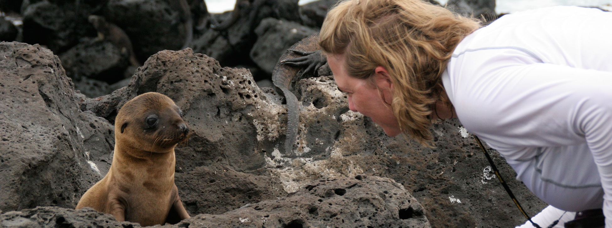 Galapagos: Paradise on the Brink