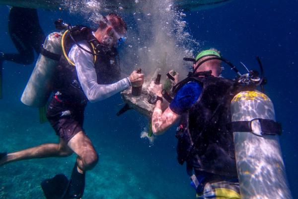 Happy Hour for Reef Reconstruction