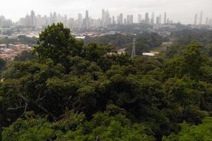  Aerial view of the tropical forest of Parque Metropolitano and downtown Panama City.