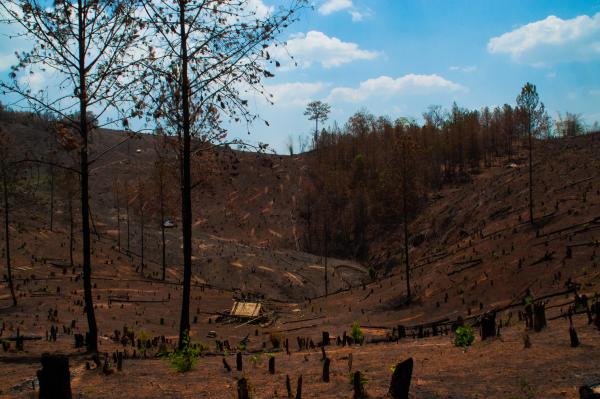 A field recently cleared for farming in Shan State, Burma. 