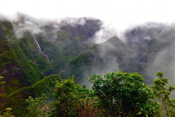 Communication Breakdown in La Réunion